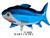 toptan folyo balon köpek balığı CY-B0056